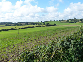 Holsteinische Schweiz © Kirsten Willert