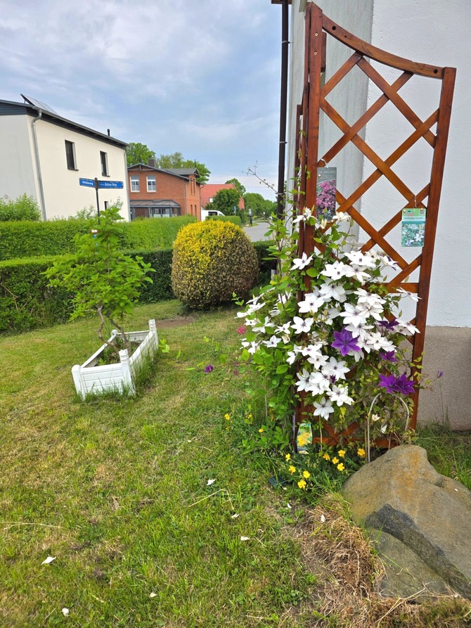 Ferienhaus in Kühlungsborn - Höppner, Joachim - Bild 9