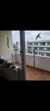 Ferienwohnung in Großenbrode - Vierjahreszeiten - Bild 9