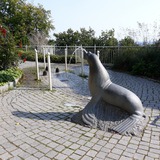 Ferienwohnung in Sellin - Sonnenglück in der Residenz Seeblick - Die wasserspeihende Robbe auf den Ostsee-Terrassen