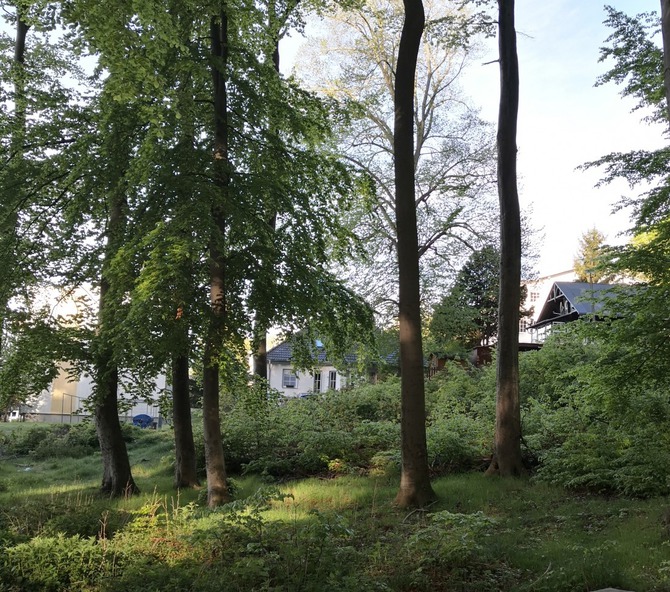 Ferienwohnung in Sassnitz - Haus zur Piratenschlucht - das Haus vom Wald aus