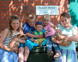 Ferienwohnung in Rettin - Ferienhof Hansen Strandhafer - Kinderspaß: die Kaninchen