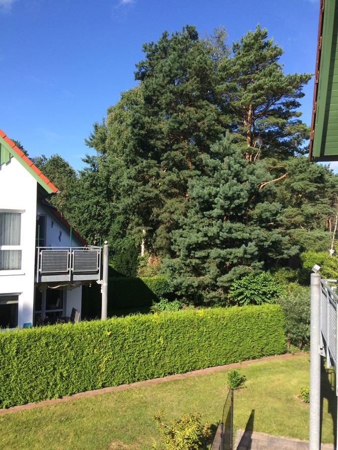 Ferienwohnung in Karlshagen - Verenkotte - Blick zum Nachbarhaus