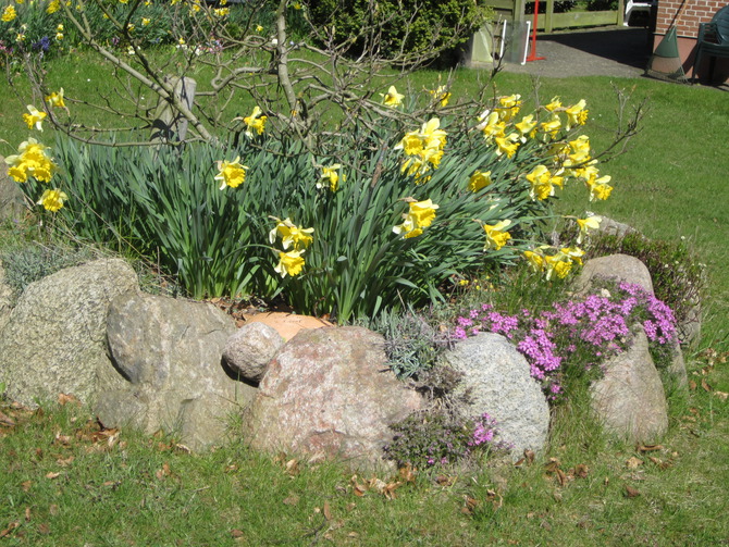 Ferienwohnung in Dahme - Petra - Garten