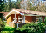 Ferienhaus in Pelzerhaken - Am Waldrand Haus B - Bild 1