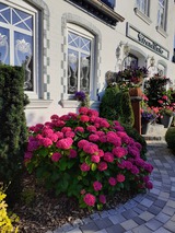 Ferienwohnung in Lütjenbrode - Residence Strandläufer - Bild 21