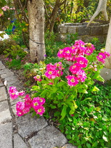 Ferienwohnung in Lütjenbrode - Residence Strandläufer - Bild 24