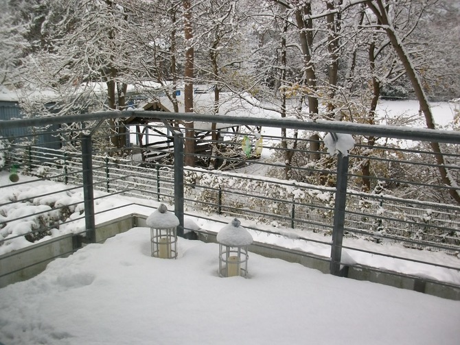 Ferienwohnung in Kühlungsborn - Strandstraße mit Südwestbalkon - Balkon im Winter-Blick auf Stadtwald
