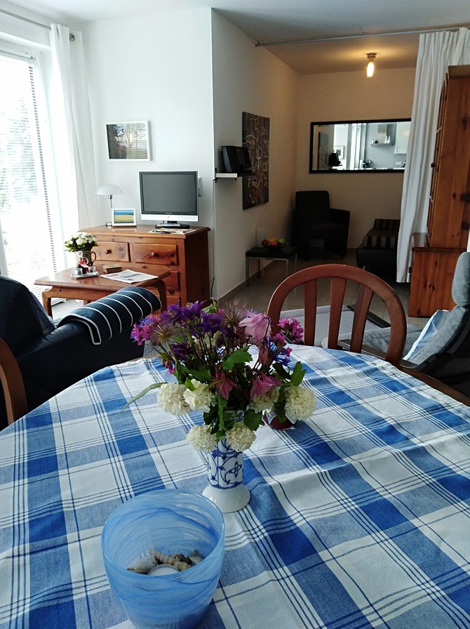 Ferienwohnung in Döhnsdorf - Haus am Steinwall - Blick aus der Küche