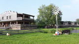Ferienhaus in Neuendorf - Rustikales Holzhaus am Bodden - Bild 2