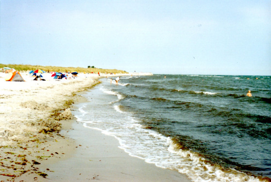 Ferienwohnung in Cismar - Hinter dem Kloster - Naturstrand Klostersee neben  Vogelschutzgebiet