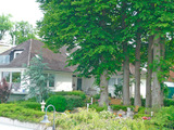 Ferienwohnung in Scharbeutz - Drachenvilla - Bild 1