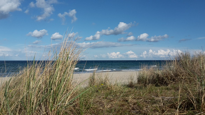 Ferienwohnung in Dahme - Seeblick - Bild 21