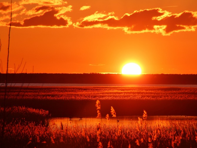 Ferienwohnung in Bresewitz - Landhaus am Bodden - am Bodden