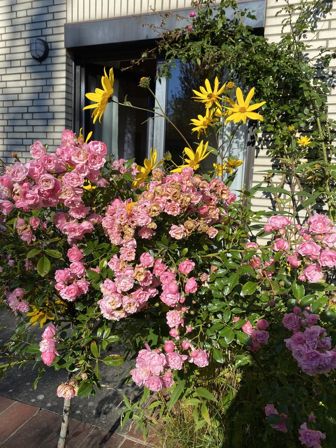 Ferienhaus in Dahme - Haus Westphal - Bild 17