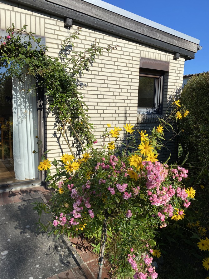 Ferienhaus in Dahme - Haus Westphal - Bild 18