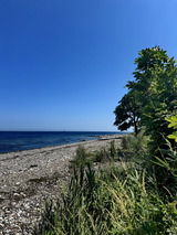 Ferienwohnung in Fehmarn OT Marienleuchte - Penthouse Seeblick am Leuchtturm - Bild 21