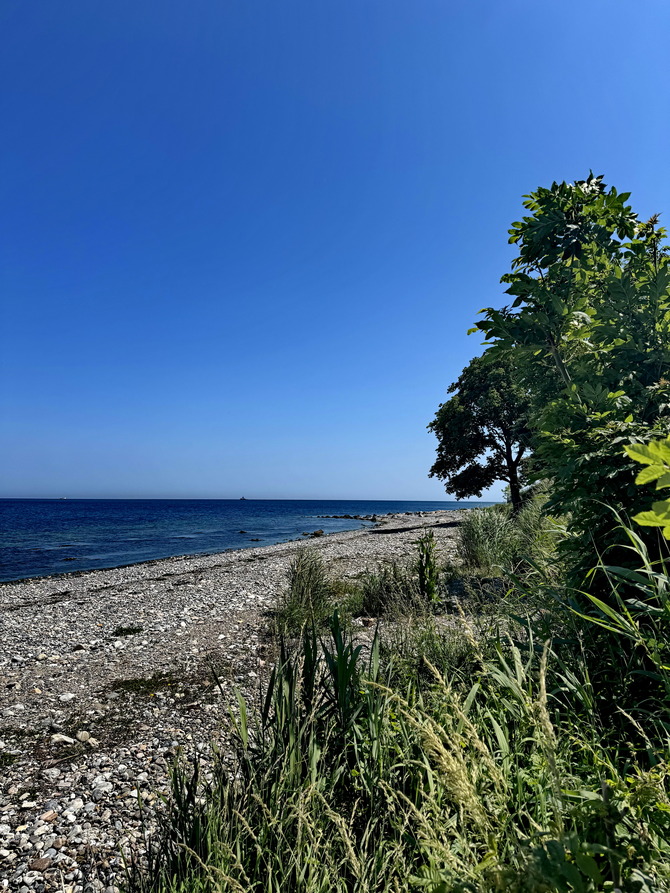 Ferienwohnung in Fehmarn OT Marienleuchte - Penthouse Seeblick am Leuchtturm - Bild 21