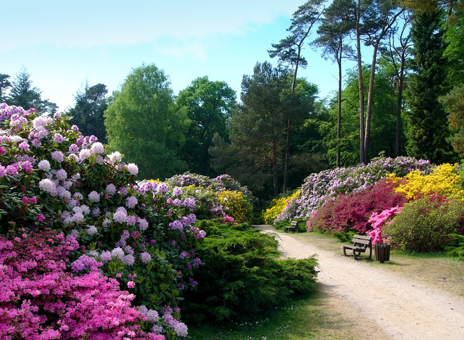 Ferienwohnung in Graal-Müritz - Am Rhododendronpark - Bild 14
