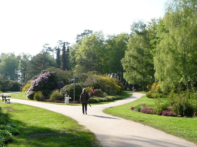 Ferienwohnung in Graal-Müritz - Am Rhododendronpark - Bild 15