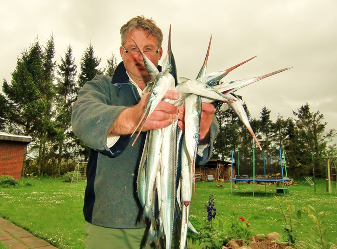 Ferienwohnung in Tremt - Zum Naturstrand - Im Mai: Watangeln auf Hornfisch