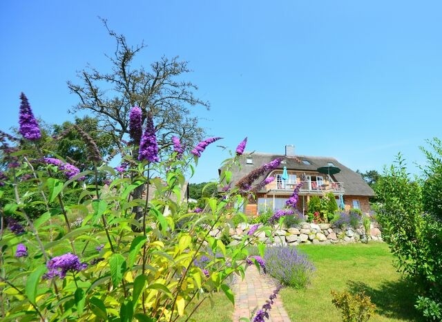 Ferienwohnung in Gro&szlig; Zicker - Sonnenkamp EG - Bild 20