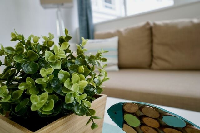 Ferienwohnung in Sellin -  Ferienappartement Mönchgut 14 - Bild 8