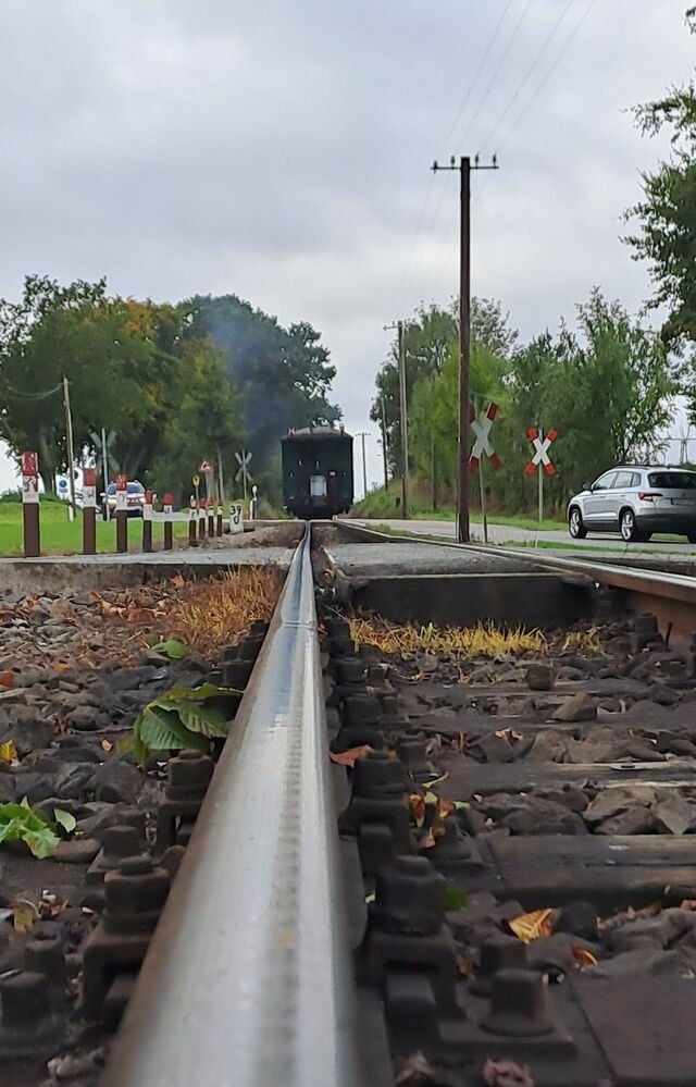 Ferienwohnung in Binz - "Villa M&ouml;nchgut", Ferienwohnung Kr&uuml;ck/Fl&ouml;ter - Bild 20