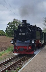 Ferienwohnung in Binz - "Villa M&ouml;nchgut", Ferienwohnung Kr&uuml;ck/Fl&ouml;ter - Bild 21