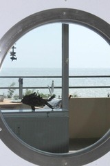 Ferienwohnung in Großenbrode - Ferienwohnung Meeresblick - Bild 4