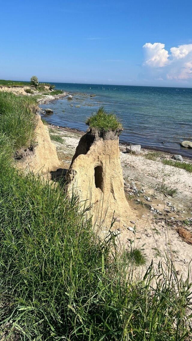 Ferienwohnung in Großenbrode - Ferienwohnung Meeresblick - Bild 19