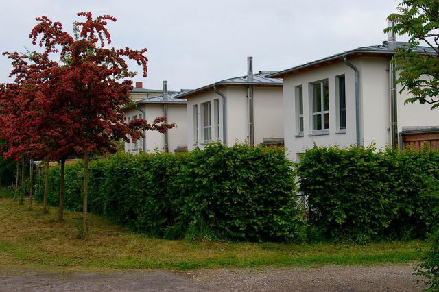 Ferienhaus in Heiligendamm - Ferienhaus in Heiligendamm mit Sauna & Kamin - Bild 7
