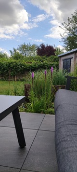 Ferienhaus in Scharbeutz - Haus Kleeblatt - Bild 16