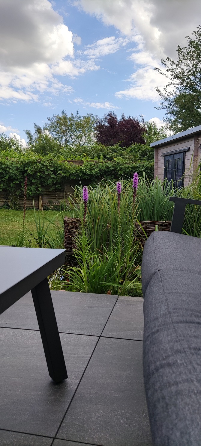 Ferienhaus in Scharbeutz - Haus Kleeblatt - Bild 16