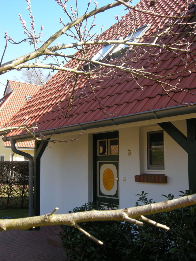 Ferienhaus in Prerow - Kormoran Muschelsucher - Bild 2