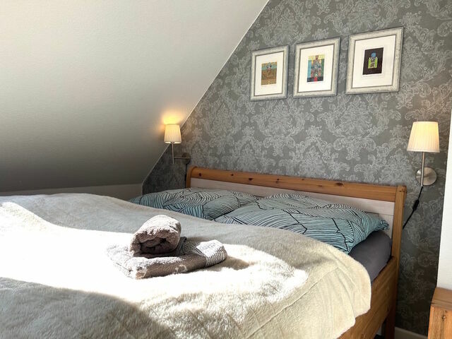 Ferienhaus in Prerow - Kormoran Muschelsucher - Bild 21