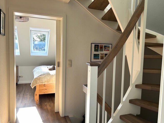 Ferienhaus in Prerow - Kormoran Muschelsucher - Bild 25