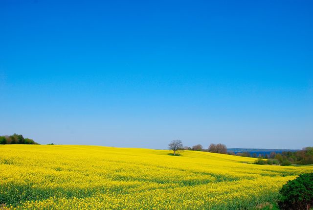Ferienwohnung in Eckernf&ouml;rde - Meine Ecke 1 - Bild 24