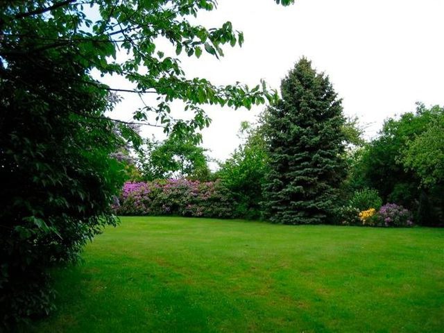 Ferienhaus in Eckernf&ouml;rde - Seeschwalbe - Bild 13