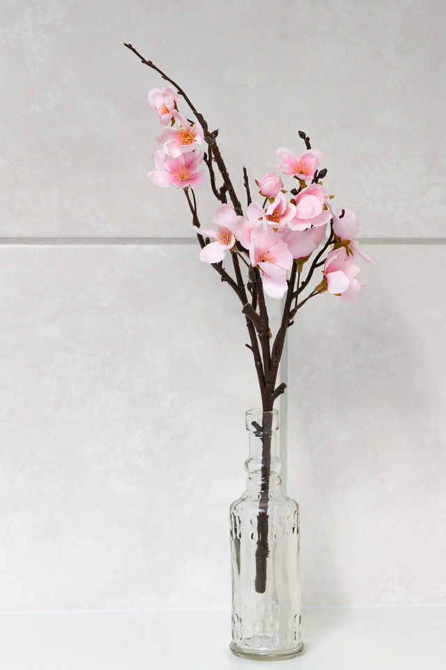 Ferienhaus in Eckernf&ouml;rde - Daniel-Ferienhaus 2 - Bild 16