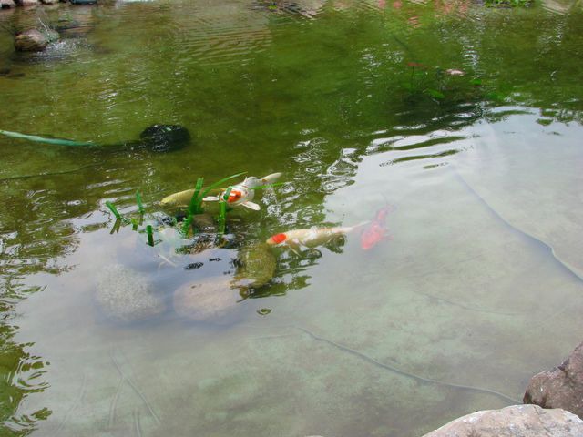 Ferienhaus in Eckernf&ouml;rde - Daniel-Ferienhaus 2 - Bild 22