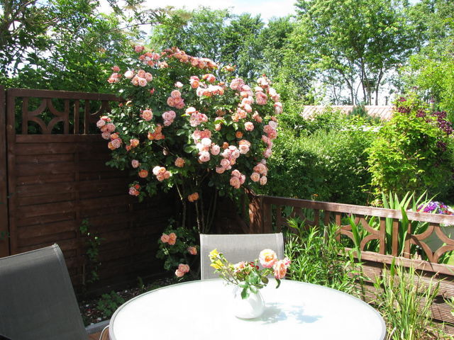 Ferienhaus in Eckernf&ouml;rde - Daniel-Ferienhaus 2 - Bild 23