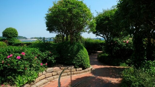 Ferienwohnung in Eckernförde - Sonnengruss am Strand - Bild 19