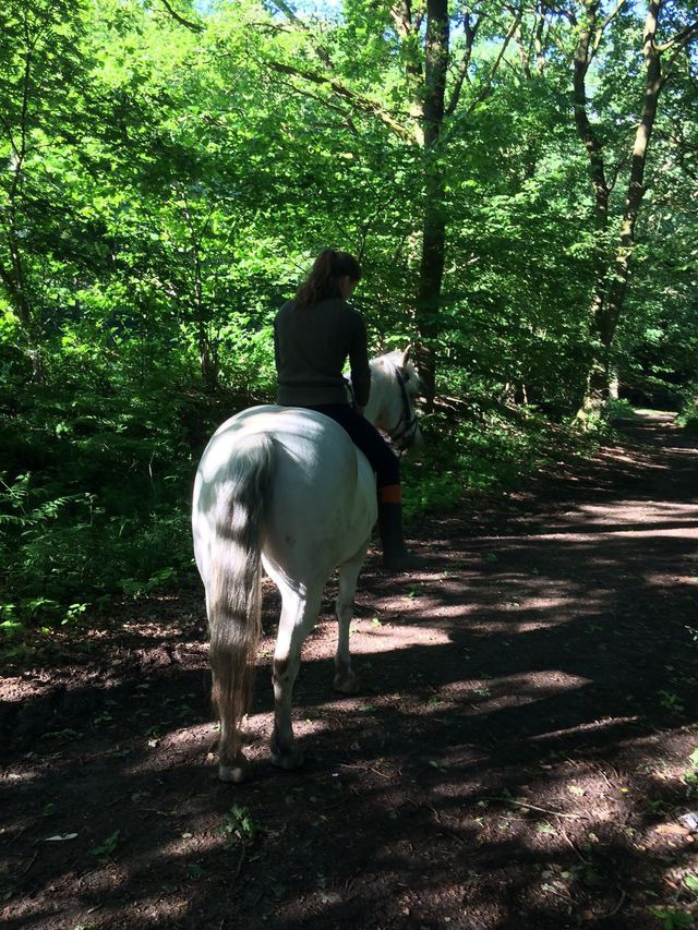Ferienwohnung in Groß Wittensee - Hoheluft am Wittensee Apt. 3 - Bild 19