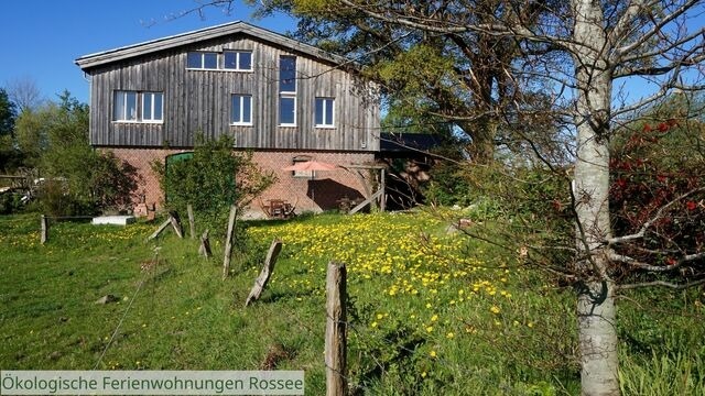Ferienwohnung in Barkelsby - &ouml;kologische Ferienwohnung Rossee /Wohnung S&uuml;d - Bild 18