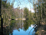 Bungalow in Graal-Müritz - Allegra - Moorsee