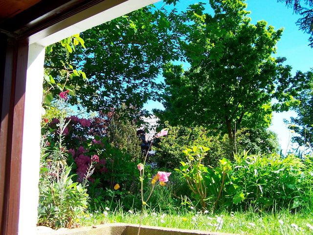 Ferienwohnung in Eckernf&ouml;rde - Rieger FW 3 - Bild 11