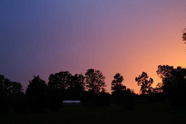 Ferienwohnung in Fehmarn OT D&auml;nschendorf - Appartement Bruns - Bild 21