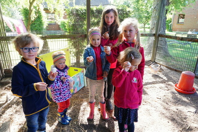 Ferienhaus in Fehmarn OT Wenkendorf - "Ferienhof Hinz" - Ferienhaus Hofkieker - Bild 24