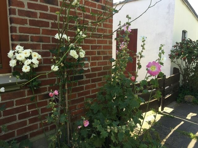 Ferienwohnung in Fehmarn OT Fehmarnsund - Ferienwohnung Fehmarnsund mit Gartenterrasse - Bild 9